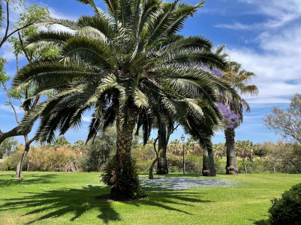 Golf, Kitesurf, Tennis, Paddle, Free Bicycles - Apartment Andalusia Isla Canela Εξωτερικό φωτογραφία